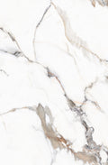 HG-1008A beige marble pvc panel